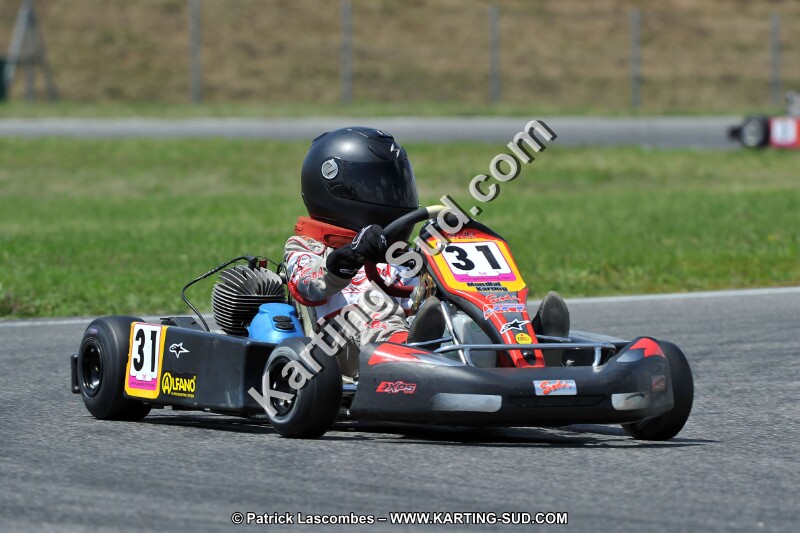 DSC_ (342).jpg
